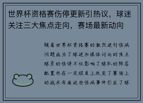 世界杯资格赛伤停更新引热议，球迷关注三大焦点走向，赛场最新动向
