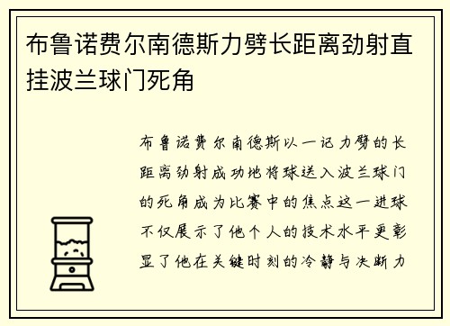 布鲁诺费尔南德斯力劈长距离劲射直挂波兰球门死角